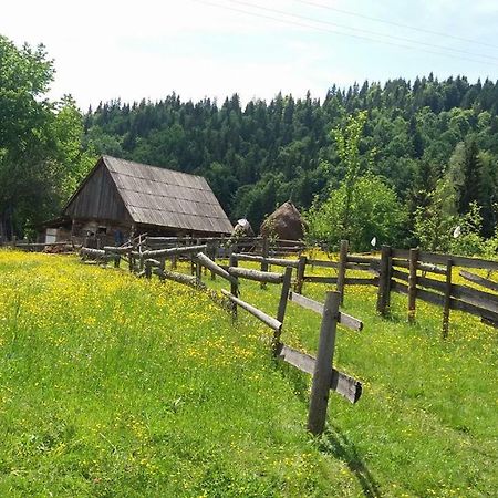 Pensiunea Miesca Matisesti Экстерьер фото