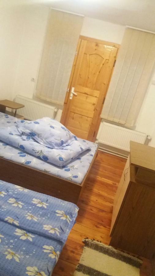 Pensiunea Miesca Matisesti Экстерьер фото