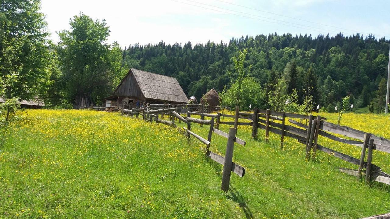 Pensiunea Miesca Matisesti Экстерьер фото
