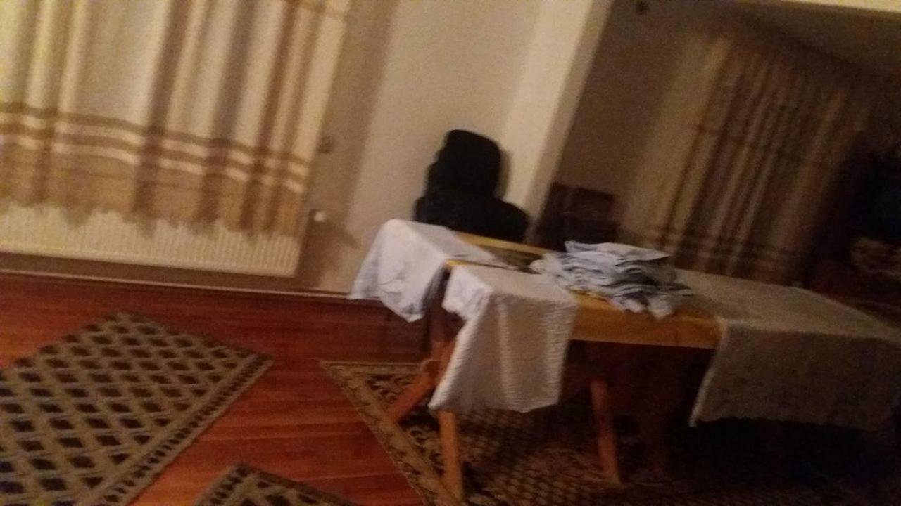 Pensiunea Miesca Matisesti Экстерьер фото